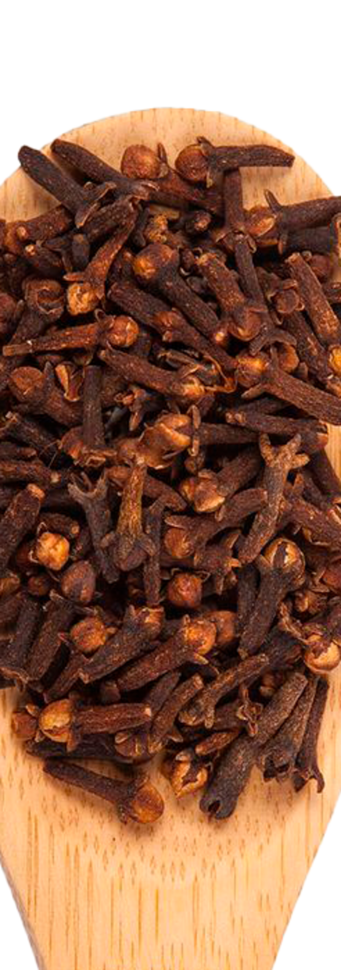 Clavo de olor